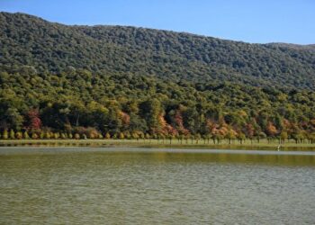 آخرین جزئیات از حادثه آب‌بندان الندان ساری