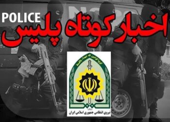 آخرین سفر مرد ۶۵ ساله؛ نقشه سرقت خودرو به یک پایان خونین ختم شد