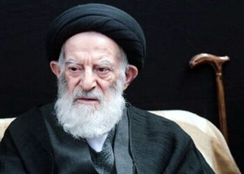 آیت الله العظمی شبیری زنجانی، مرجع ژرف اندیش و مروج دین بود