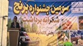 برگزاری سومین جشنواره برداشت برنج در شهرستان بابل