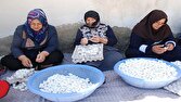 تحقق بیش از ۵۷ درصدی تعهد ثبت تسهیلگران زن روستایی در مازندران