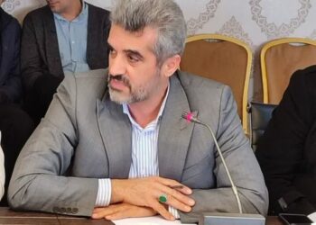 حدنگاری ۹۵ درصد از اراضی ملی بابل/ ضرورت توسعه زراعت چوب و حفاظت مشارکتی از جنگلها