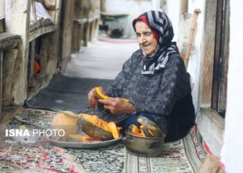 خدمات بهزیستی مازندران به بیش از ۱۴ هزار سالمند