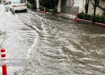 خسارت ۲۲۰ میلیارد تومانی طوفان و سیلاب در بهنمیر/ ۲۲۰ واحد آسیب دیدند