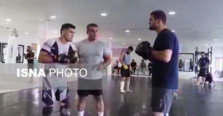 رزمی‌کاران MMA مازندران برای انتخابی تیم ملی در آمل اردو زدند