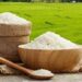 رونمایی از نخستین طرح مزارع الگوی برنج در سطح کشور در استان مازندران