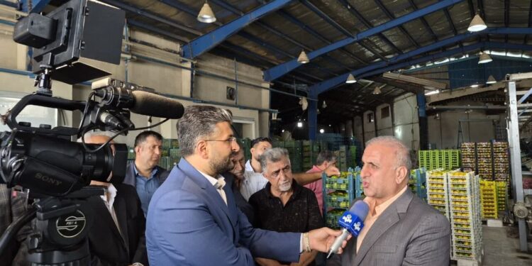 فرماندار ساری: نارنگی ساری باید به یک برند تجاری تبدیل شود