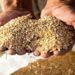 وضعیت مطلوب ذخایر نهاده و گوشت مرغ مازندران
