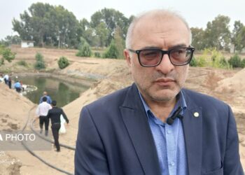 پرورش میگو در دریا؛ رکورد ۱۷.۵ گرمی در ۸۲ روز نویدبخش تحول در شرق مازندران
