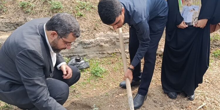پیوند آموزش و مقاومت در بهشهر؛ کاشت ۱۶۸ نهال به یاد شهدای مدرسه میناب