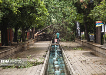 ۳۰۰ نیروی شهرداری ساری در پی طوفان شبانه به میدان آمدند