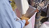 آغاز سرشماری عمومی کشور از اواخر مهر