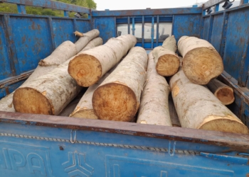 کشف سه تن چوب جنگلی و دستگیری متهمان قاچاق در چهاردانگه