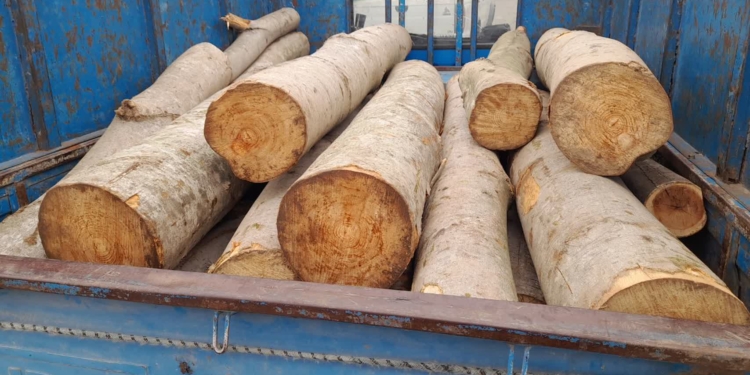 کشف سه تن چوب جنگلی و دستگیری متهمان قاچاق در چهاردانگه