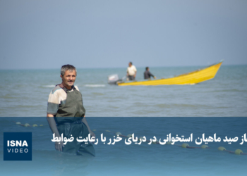 آغاز صید ماهیان استخوانی در دریای خزر با رعایت ضوابط