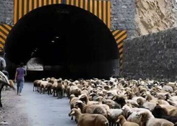 انسداد محور کندوان برای عبور احشام ۱۳ و ۲۰ مهر