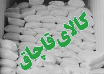 انهدام باند ۷ نفره قاچاق سازمان‌یافته آرد دولتی در آمل