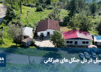 تحصیل در دل جنگل‌های هیرکانی