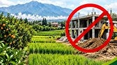 تغییرهای غیرمجاز ادامه‌دار کاربری‌های اراضی زراعی و باغی در قائم‌شهر