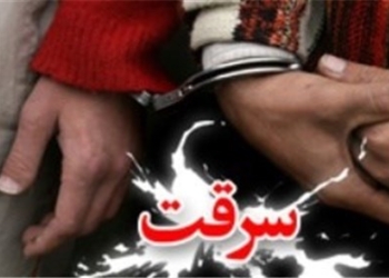 سرقت ناکام از ضریح بقعه امامزاده عباس (ع) ساری