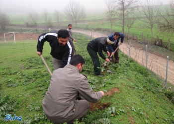 کاشت ۷۰۰ نهال در اردوگاه شهید توکلی روستای وناجم+تصاویر