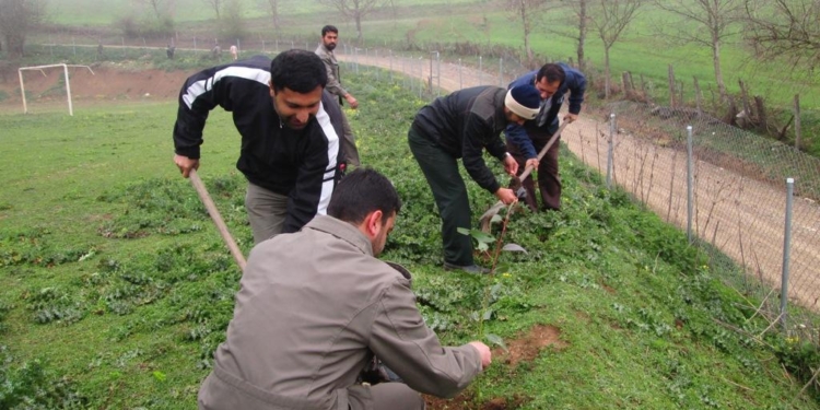 کاشت ۷۰۰ نهال در اردوگاه شهید توکلی روستای وناجم+تصاویر