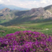 گزارش تصویری از طبیعت زیبای بهاری بخش دودانگه