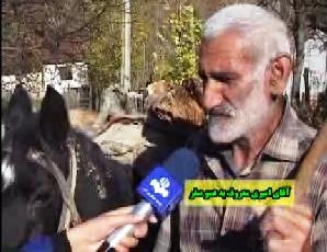 فیلم : مشکلات سوخت روستاهای چهاردانگه در آستانه فصل سرما