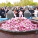 برگزاری جشنواره گلابگیری در دودانگه
