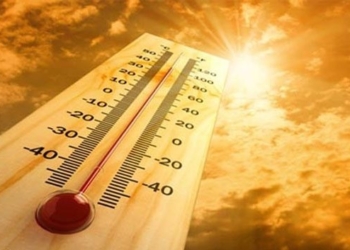 افزایش دما و احتمال آتش سوزی در جنگل های مازندران