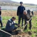 کاشت درخت به یاد شهیدان به صورت نمادین در اداره هواشناسی کیاسر