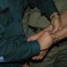 شاه دزد روستاهای چهاردانگه دستگیر شد